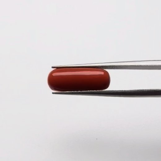 Red Coral | 5.00 Ratti