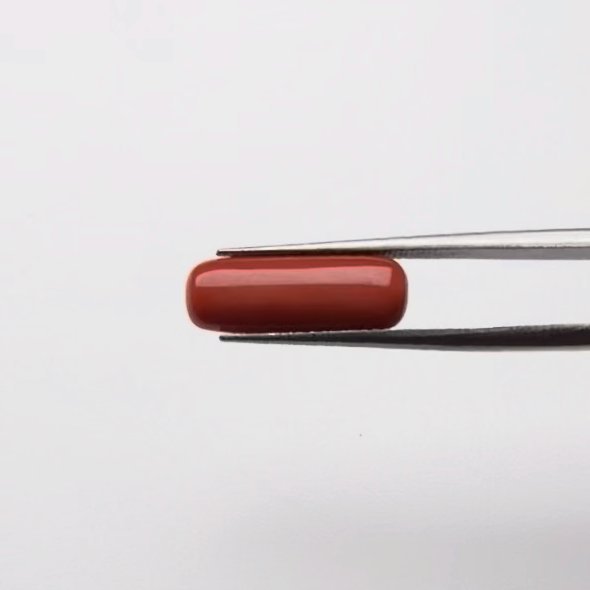 Red Coral | 5.00 Ratti