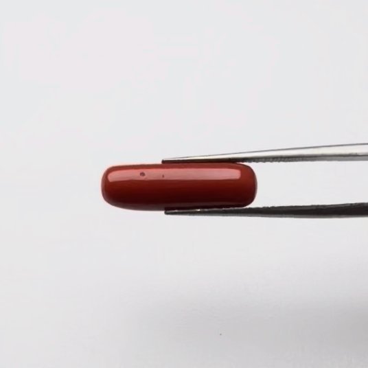 Red Coral | 5.25 Ratti