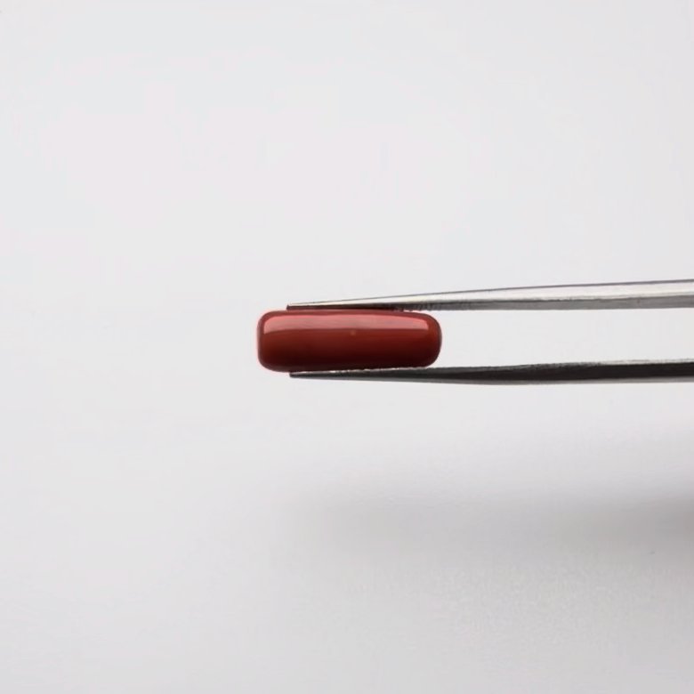 Red Coral | 5.00 Ratti
