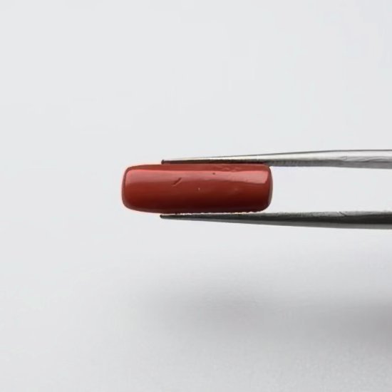 Red Coral | 5.25 Ratti