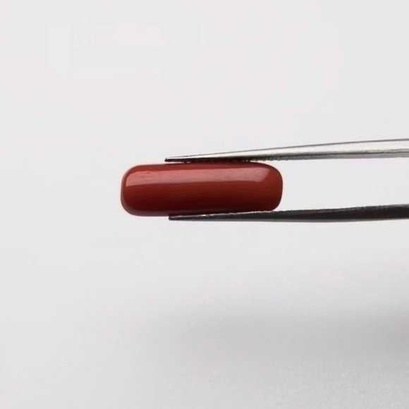 Red Coral | 5.00 Ratti