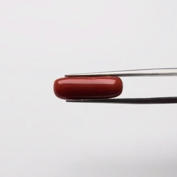 Red Coral | 5.25 Ratti