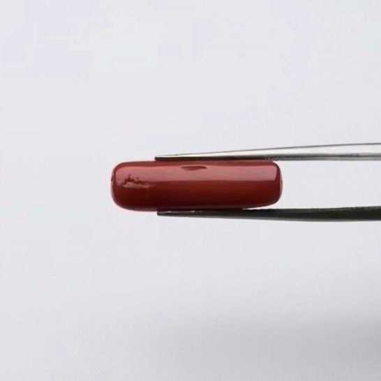 Red Coral | 6.00 Ratti