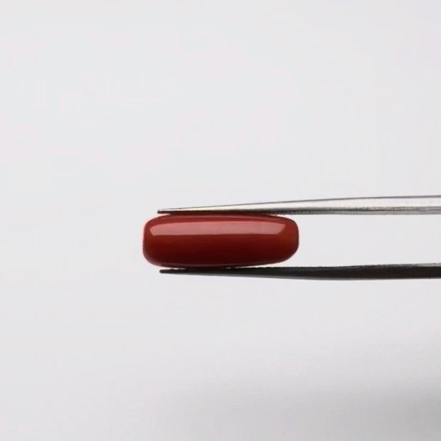 Red Coral | 5.00 Ratti