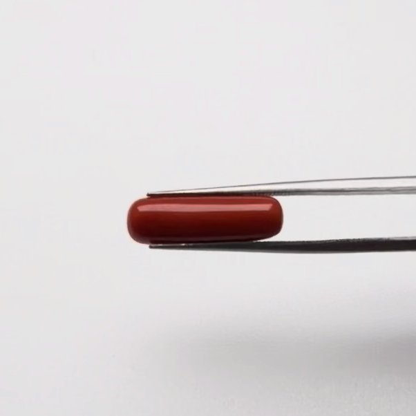 Red Coral | 5.25 Ratti