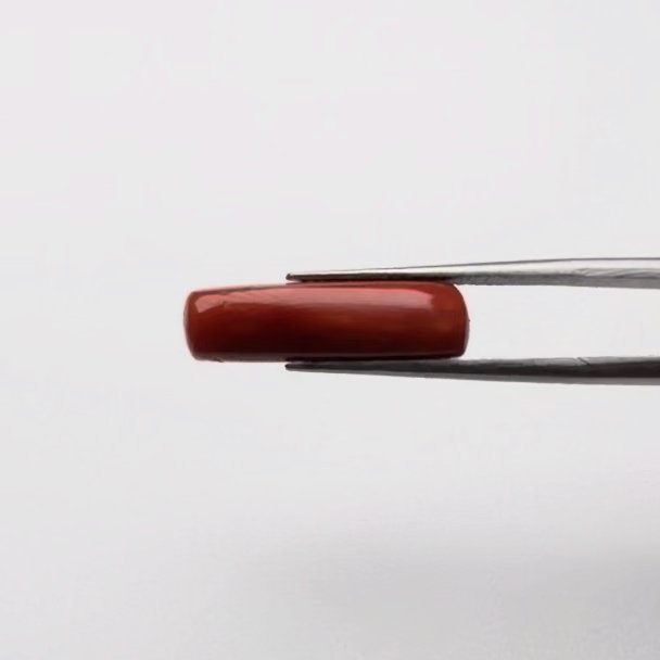 Red Coral | 7.00 Ratti