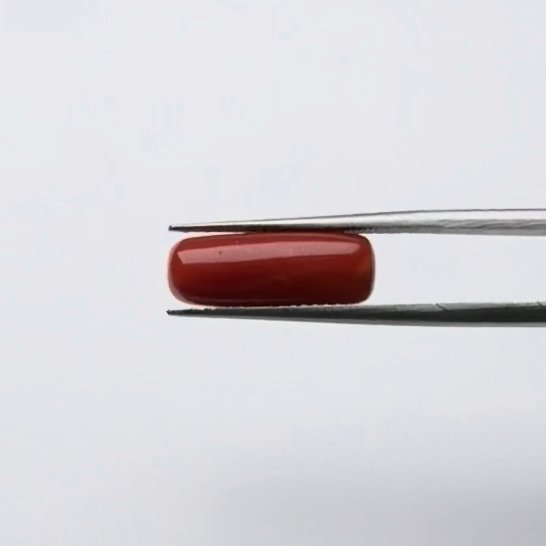 Red Coral | 5.00 Ratti