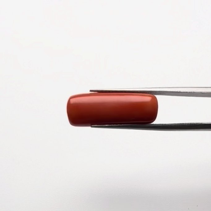 Red Coral | 14.50 Ratti