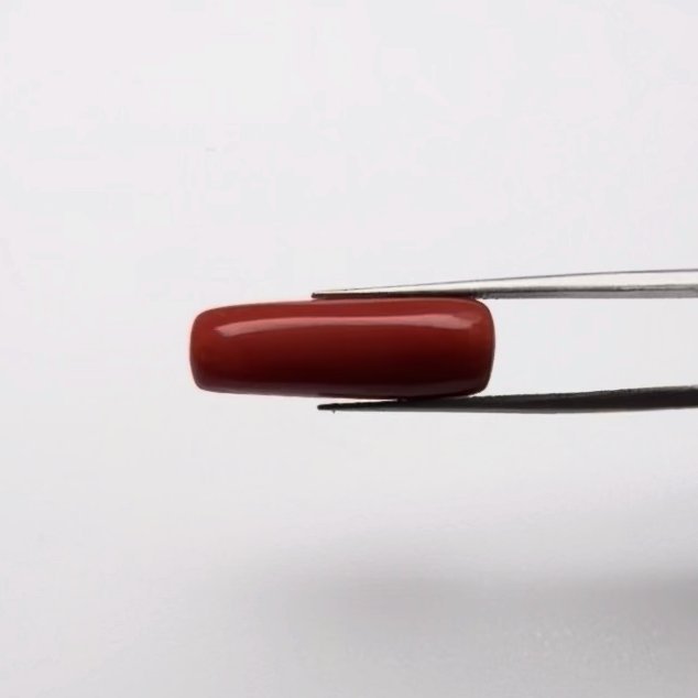 Red Coral | 11.00 Ratti