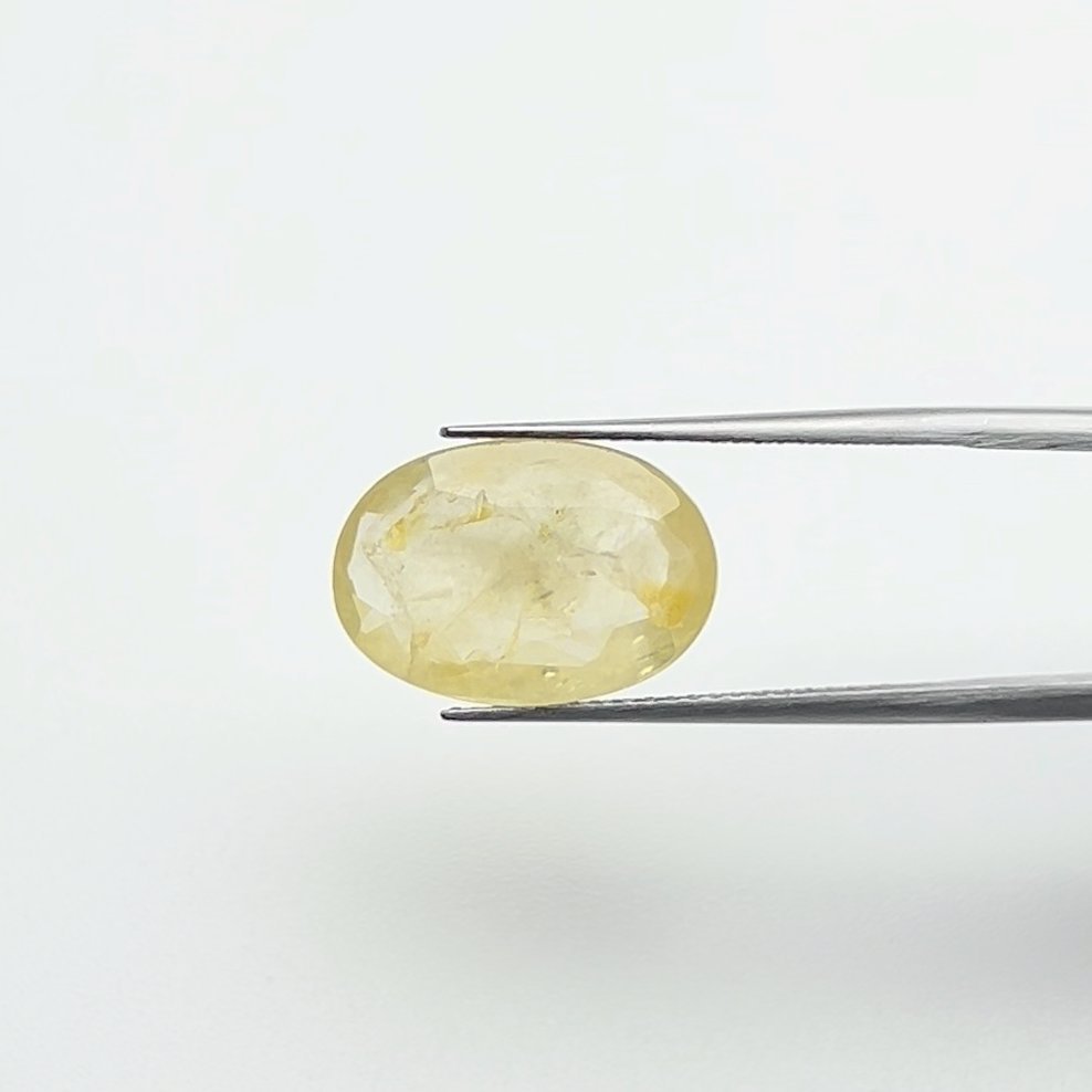 Yellow Sapphire | 8.50 Ratti
