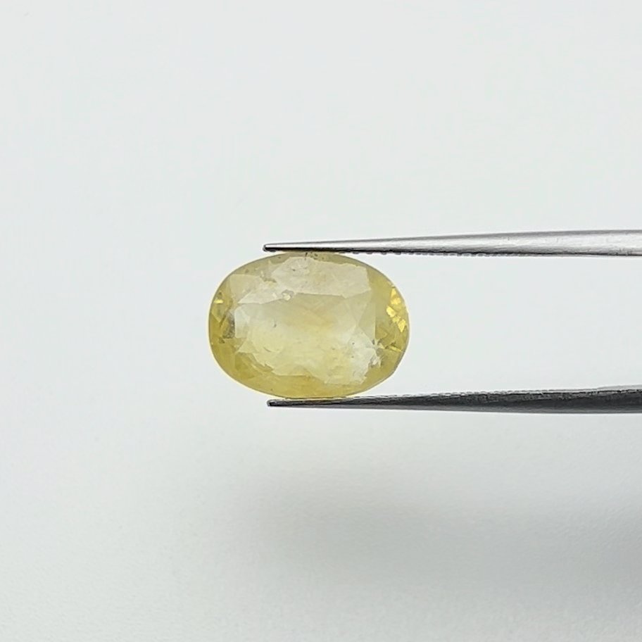 Yellow Sapphire | 7.00 Ratti