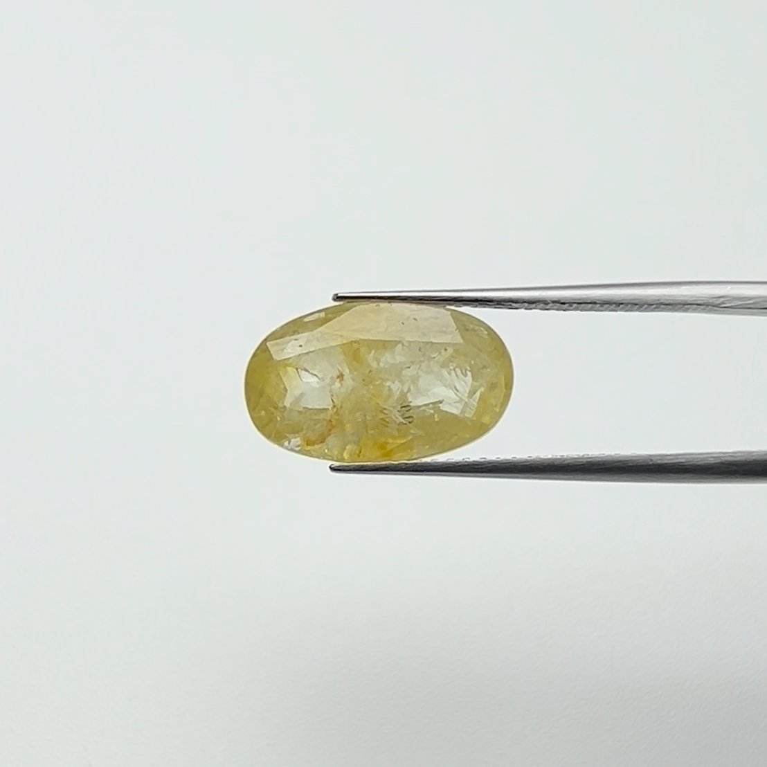 Yellow Sapphire | 8.25 Ratti