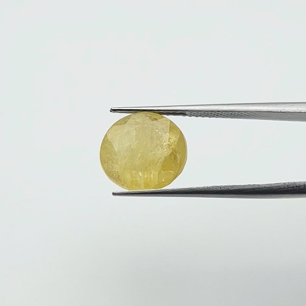 Yellow Sapphire | 8.25 Ratti