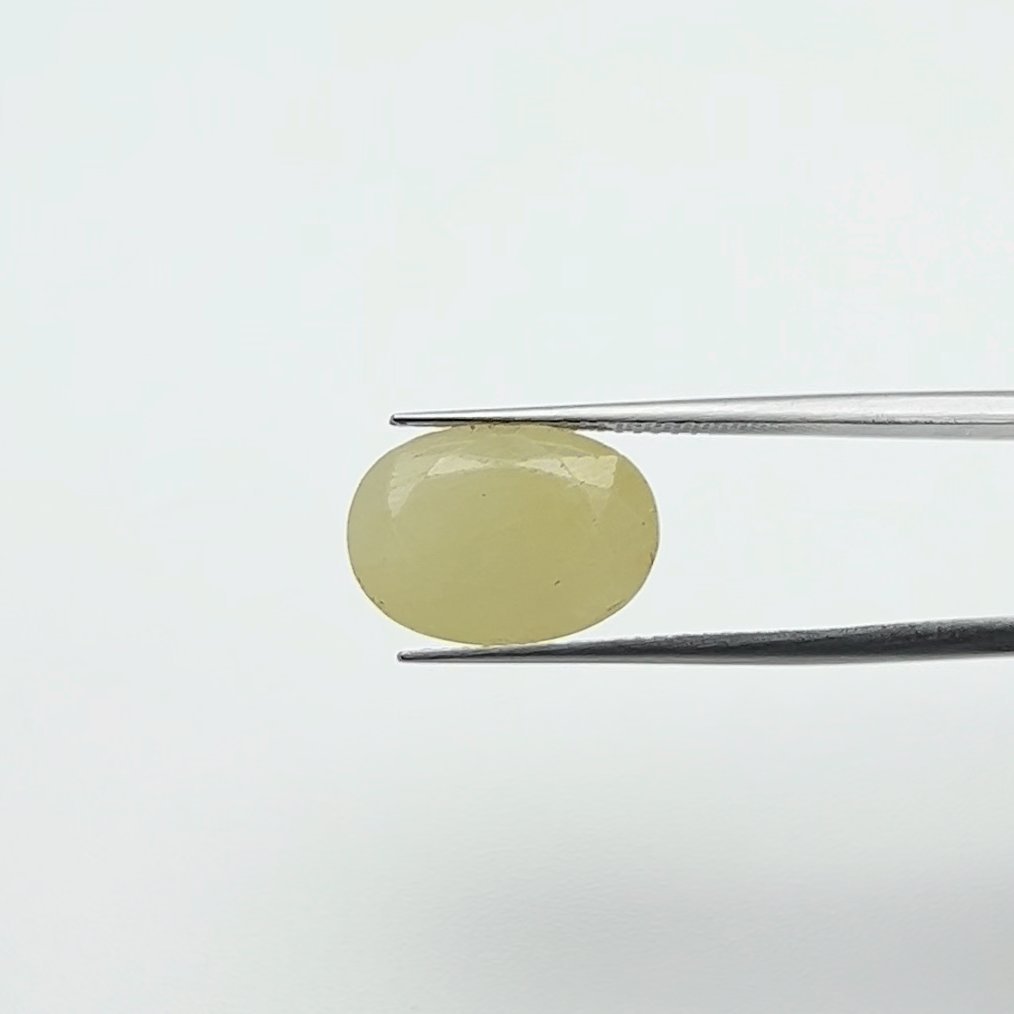 Yellow Sapphire | 10.25 Ratti