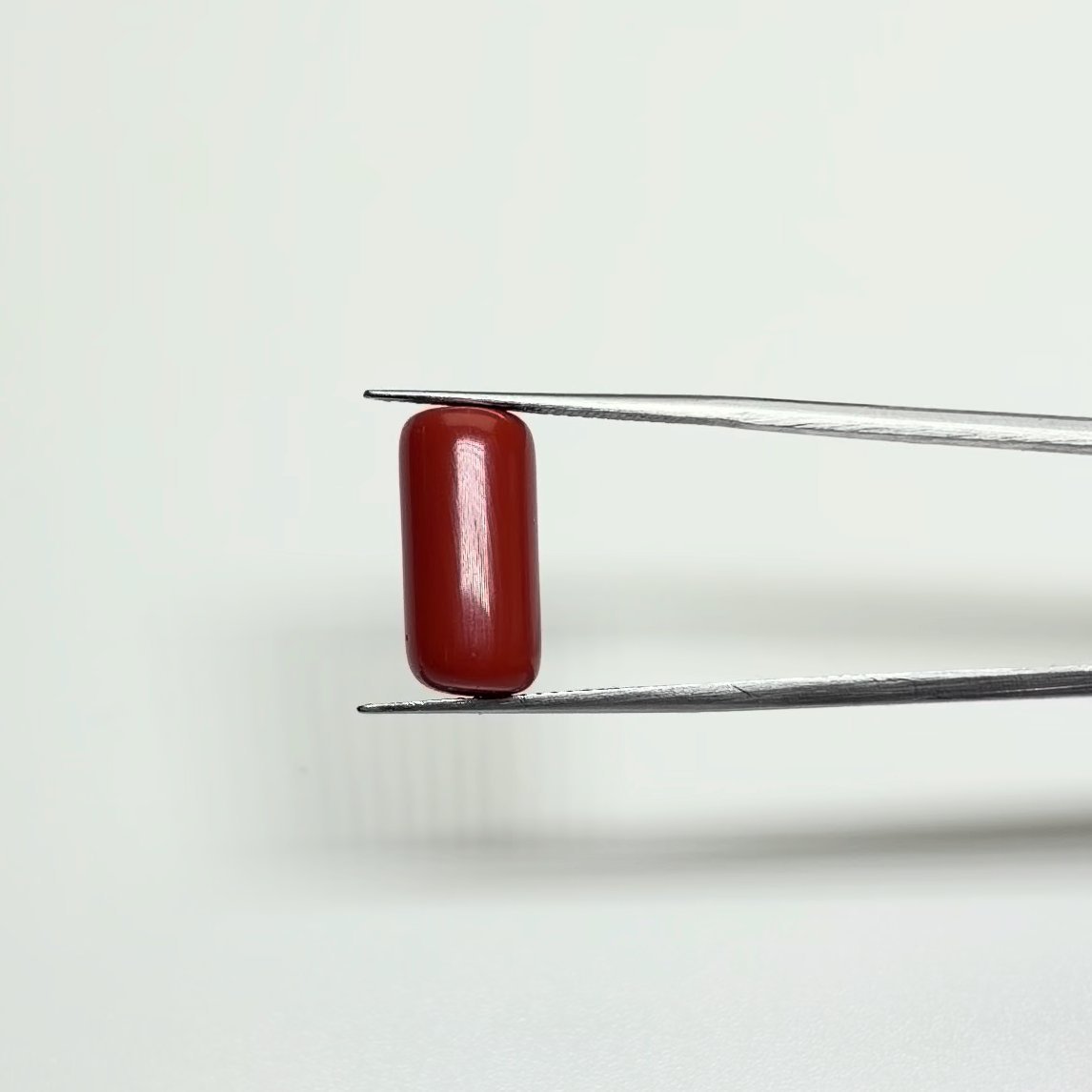 Red Coral | 8.00 Ratti