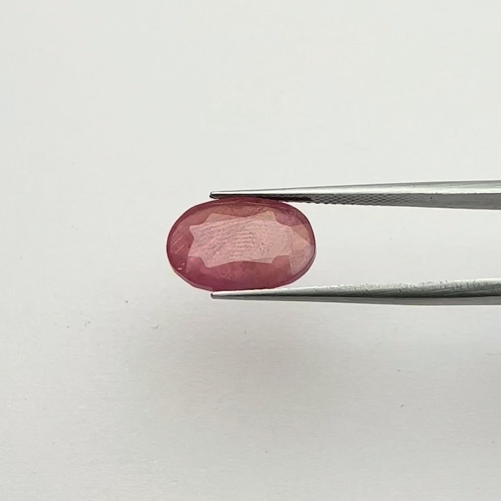 Ruby | 7.25 Ratti