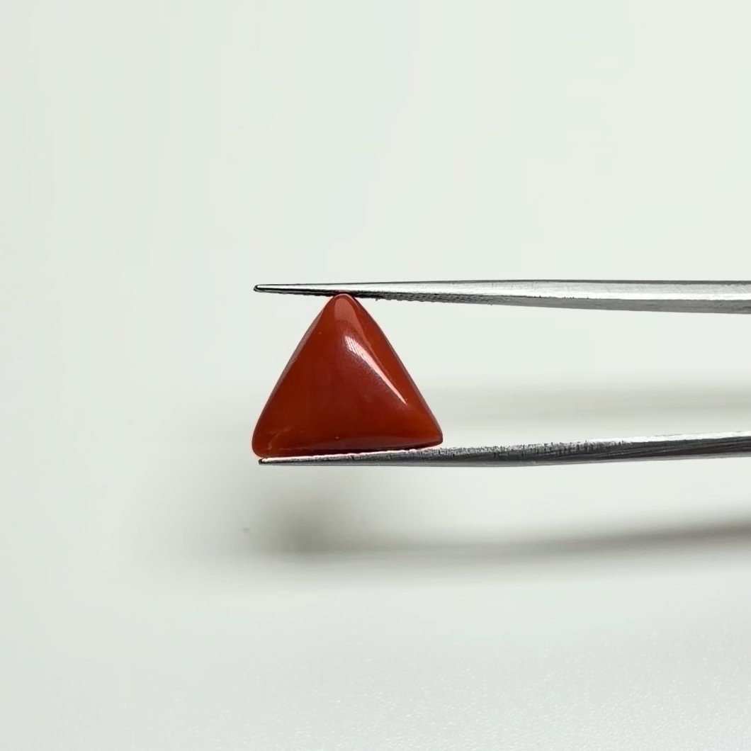 Red Coral | 8.00 Ratti