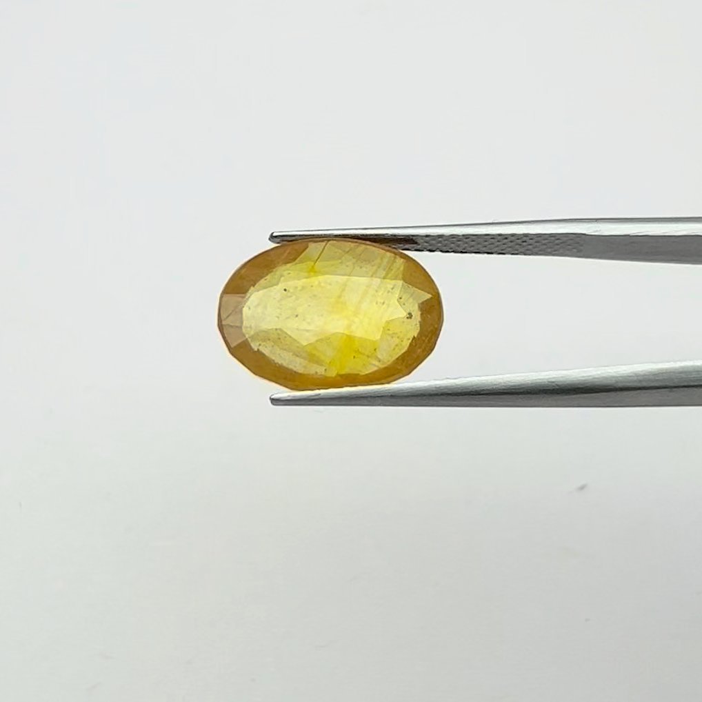 Yellow Sapphire | 9.00 Ratti