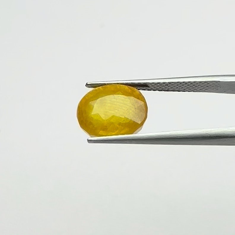 Yellow Sapphire | 7.00 Ratti