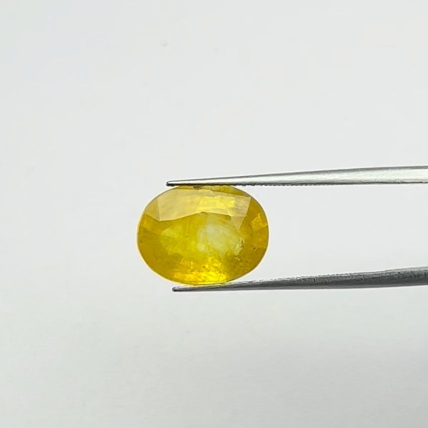 Yellow Sapphire | 7.25 Ratti