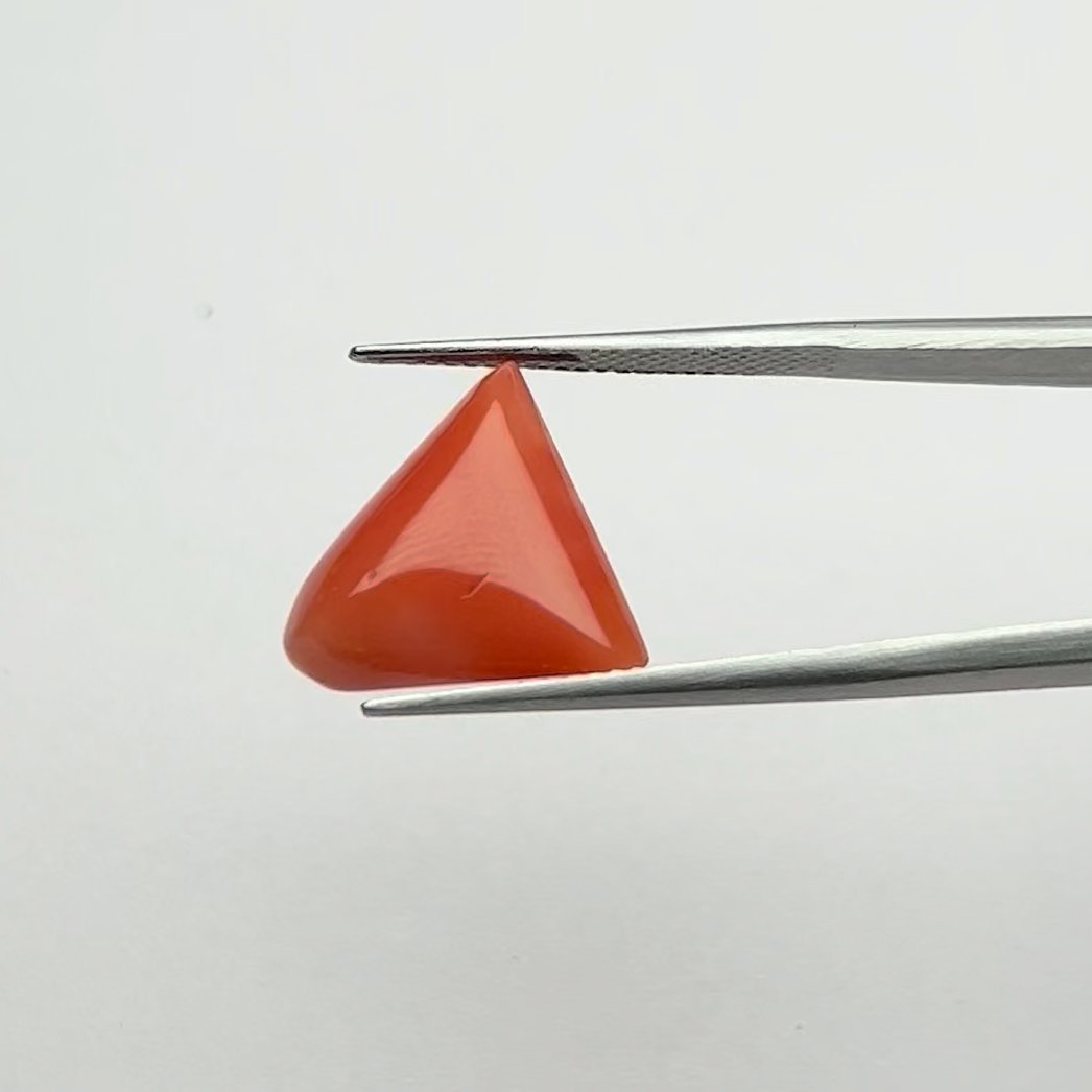 Red Coral | 8.50 Ratti