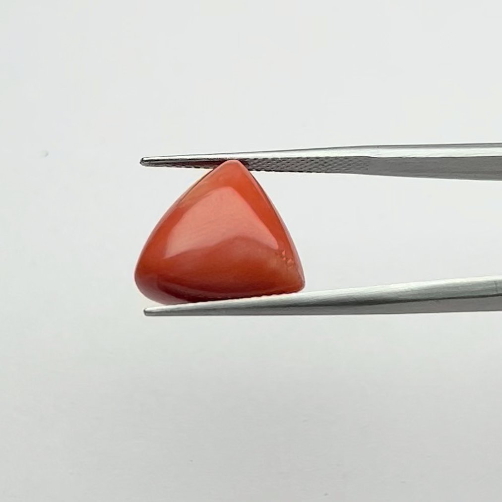 Red Coral | 13.00 Ratti
