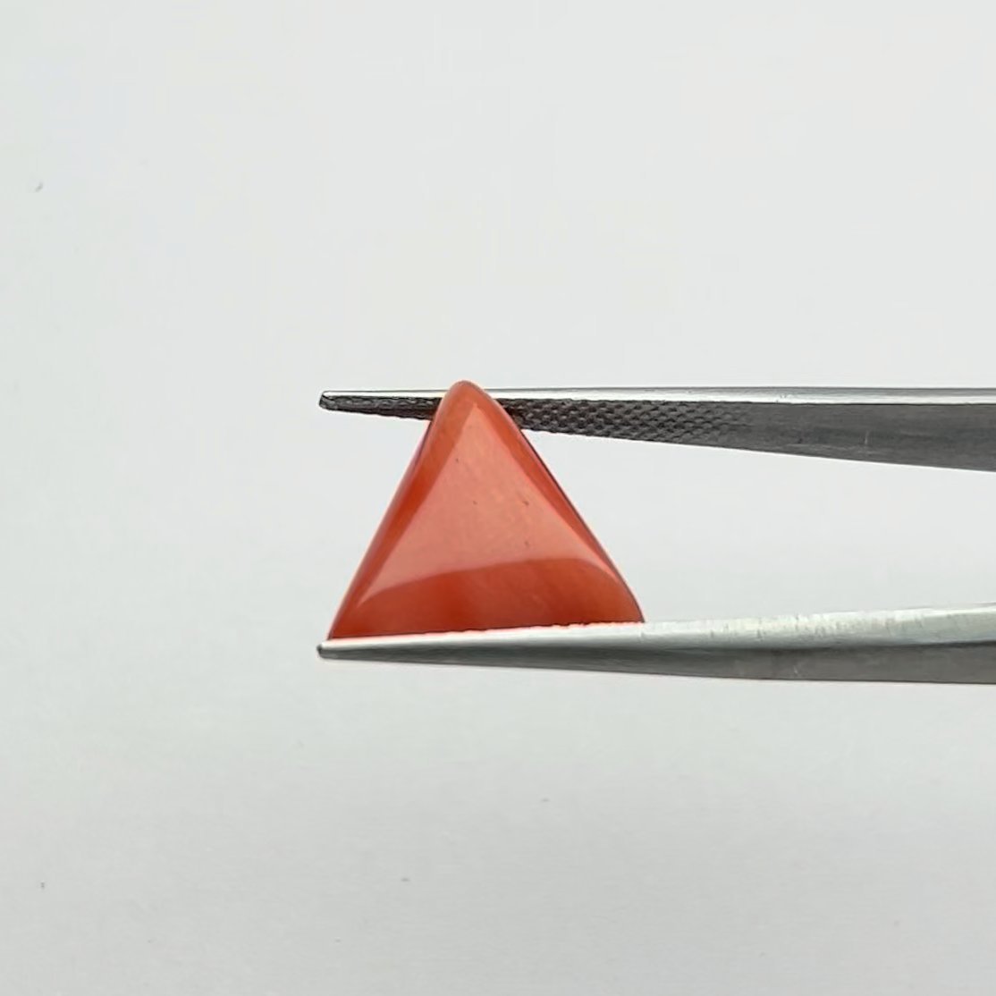 Red Coral | 8.50 Ratti