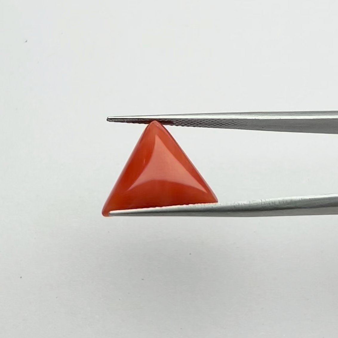 Red Coral | 9.50 Ratti