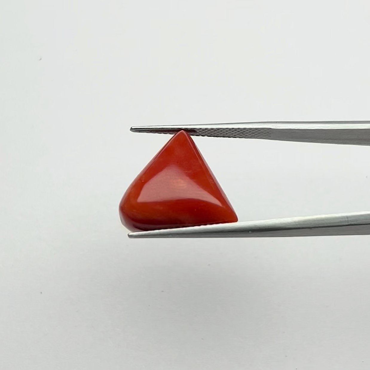 Red Coral | 13.25 Ratti