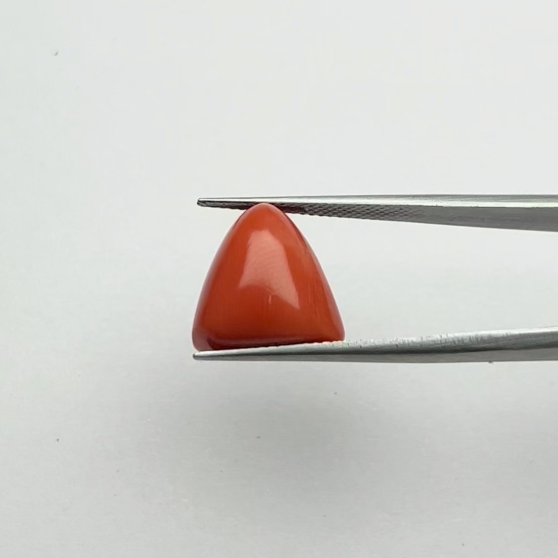 Red Coral | 13.00 Ratti
