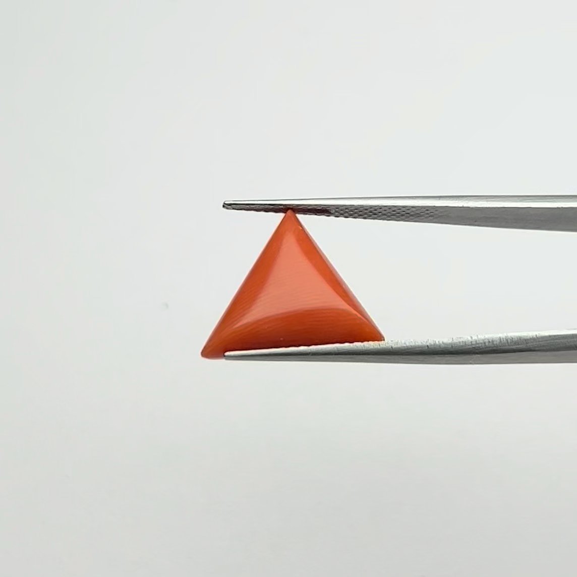 Red Coral | 6.50 Ratti