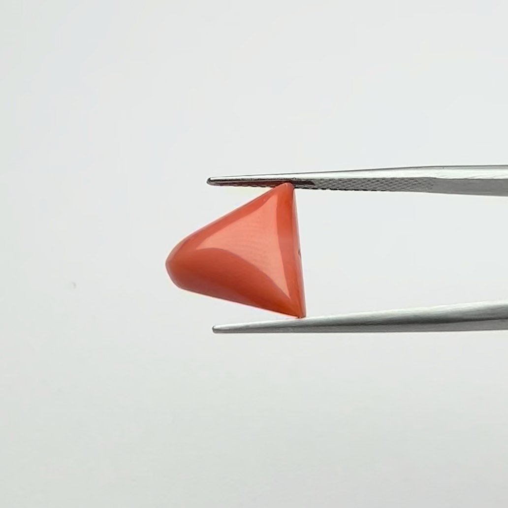 Red Coral | 7.00 Ratti