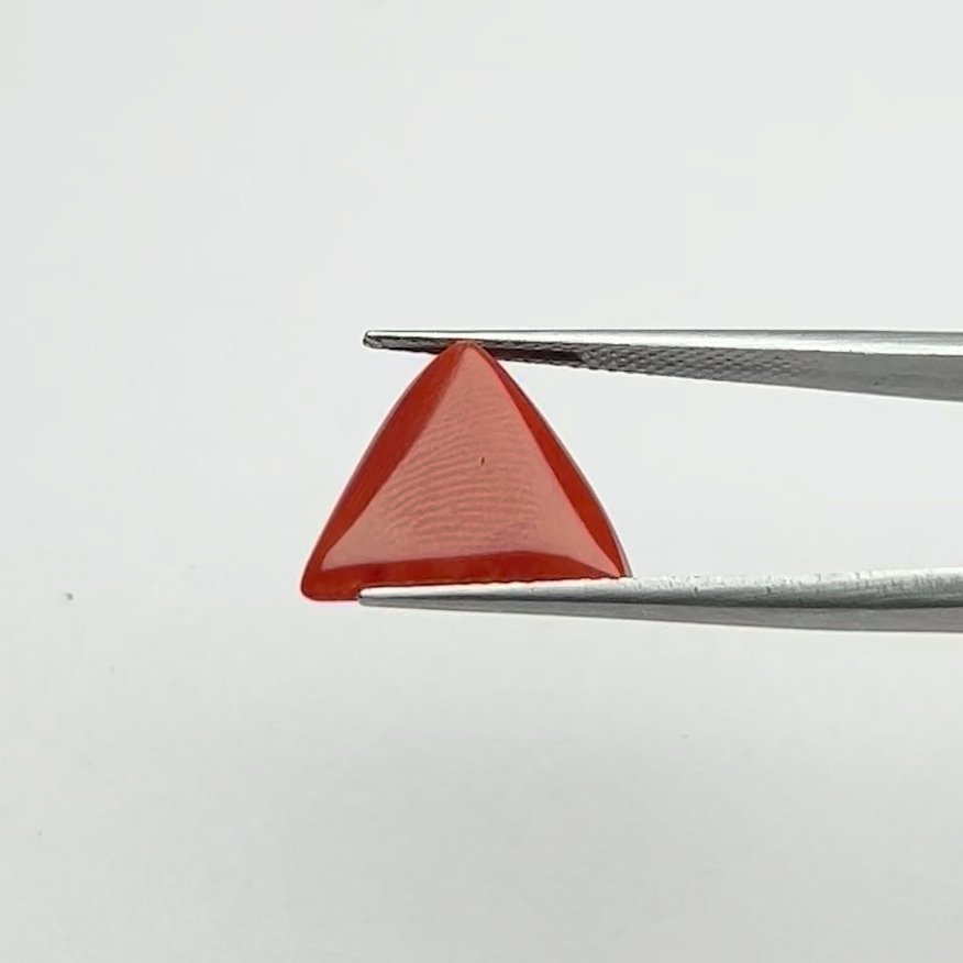 Red Coral | 6.50 Ratti