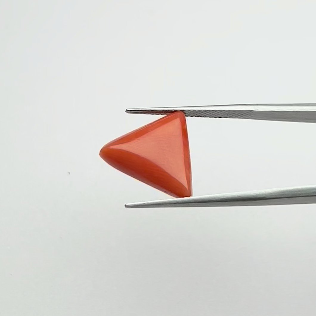 Red Coral | 7.50 Ratti