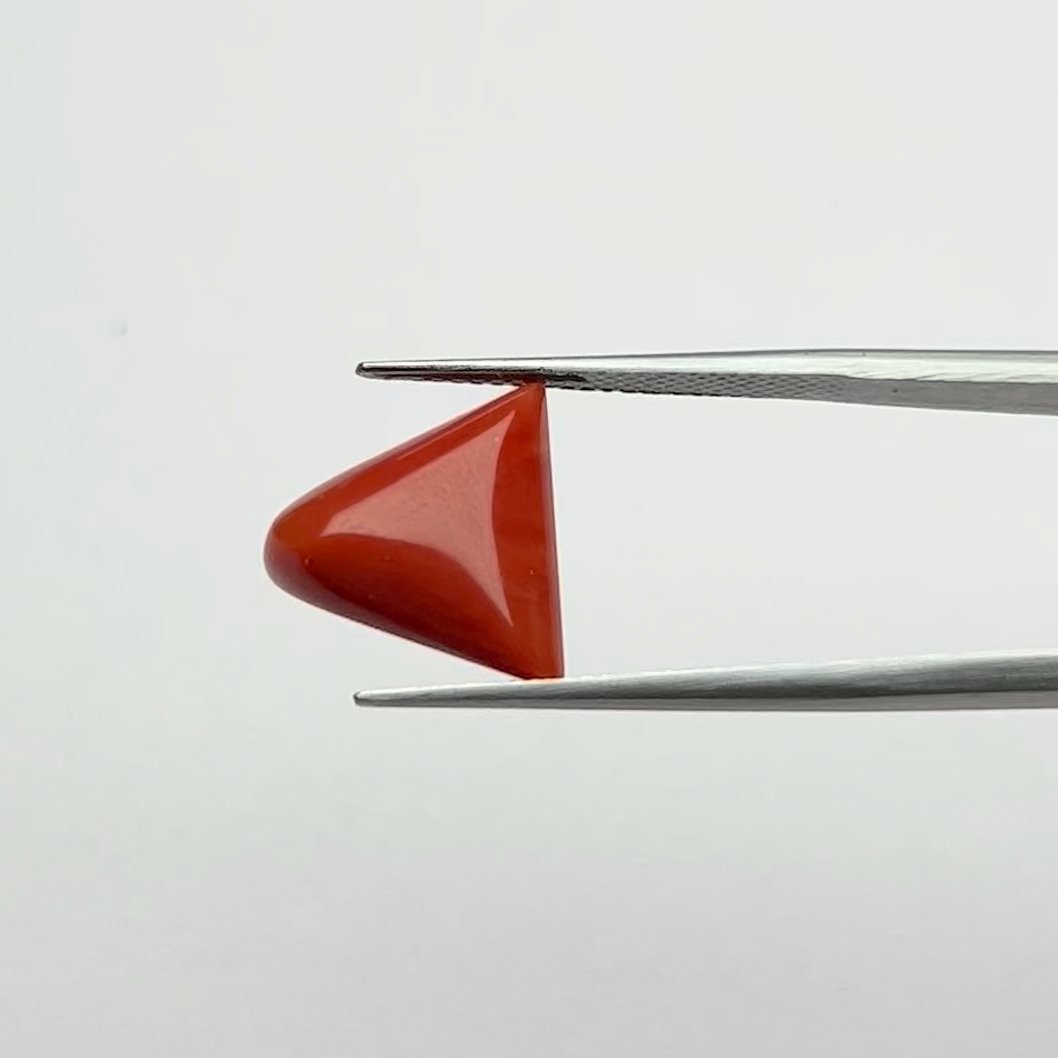 Red Coral | 6.00 Ratti