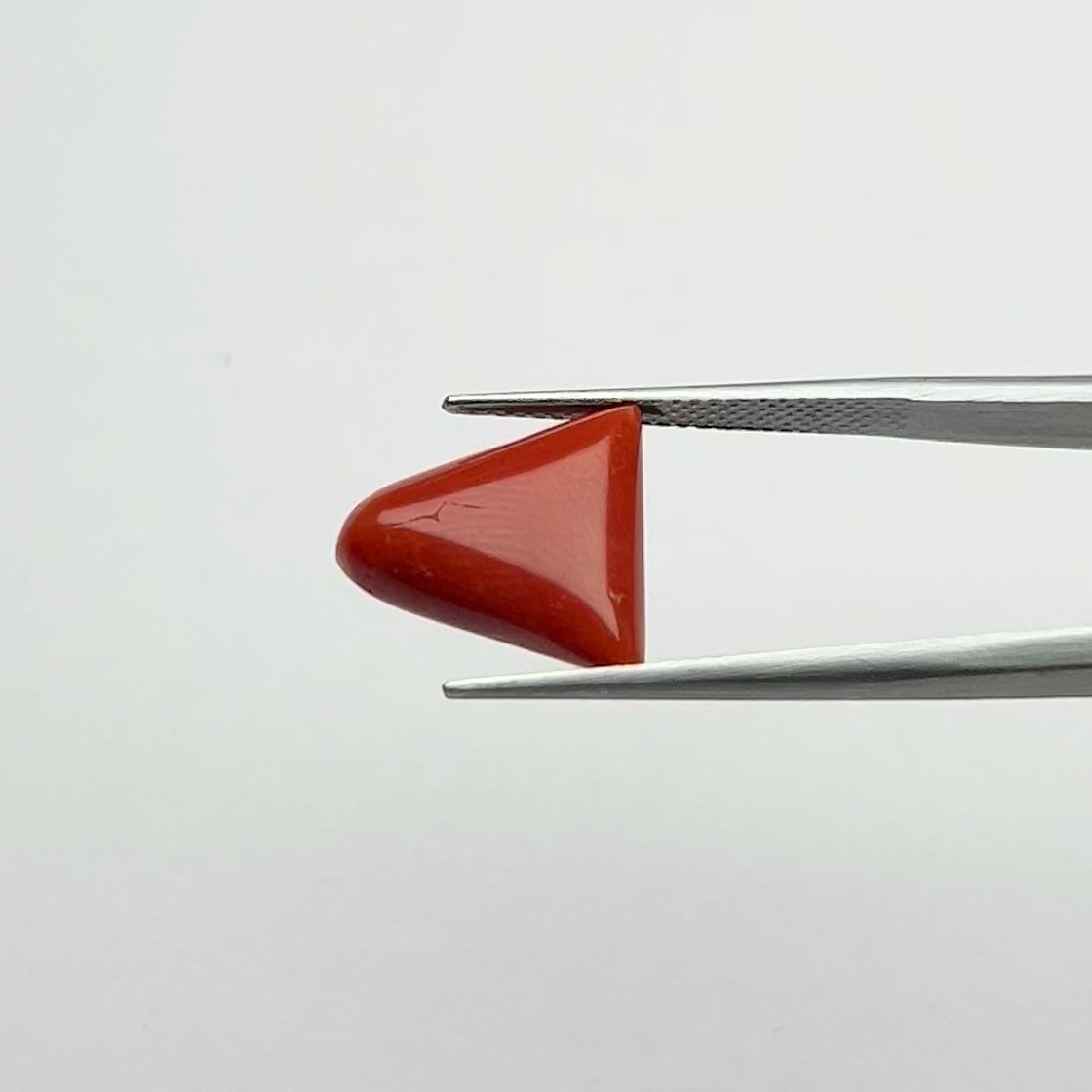 Red Coral | 6.50 Ratti
