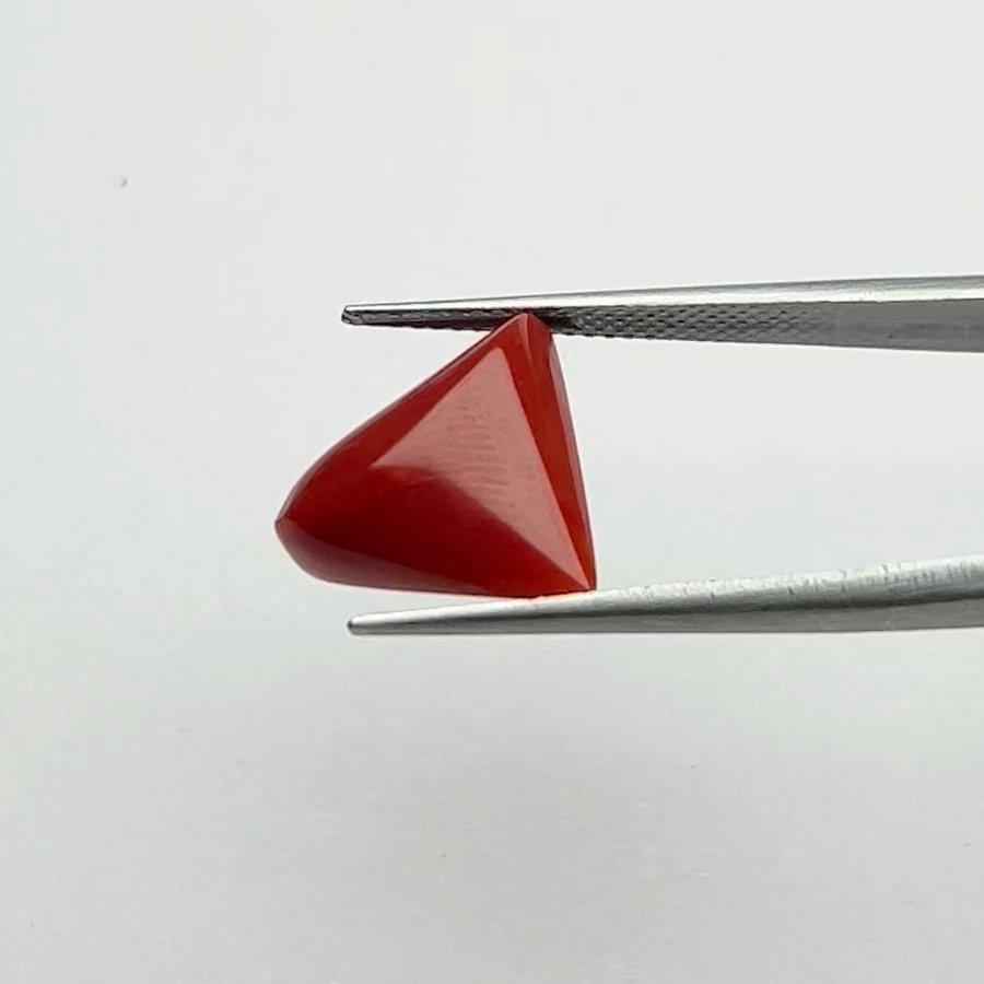 Certified Natural Energized Red Coral Gemstone 6.25 Ratti for Mars Energy and Passion Boosters by Lord Kartikeya