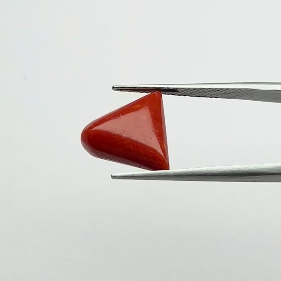 Certified Natural Energized Rare Red Coral Gemstone 6.50 Ratti for Mars Kundali and Passionate Success