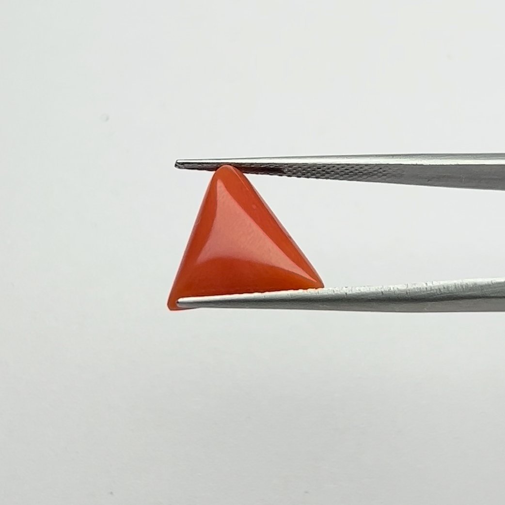 Certified Natural Energized Red Coral Gemstone 6.50 Ratti for Mars Energizing Passion and Confidence