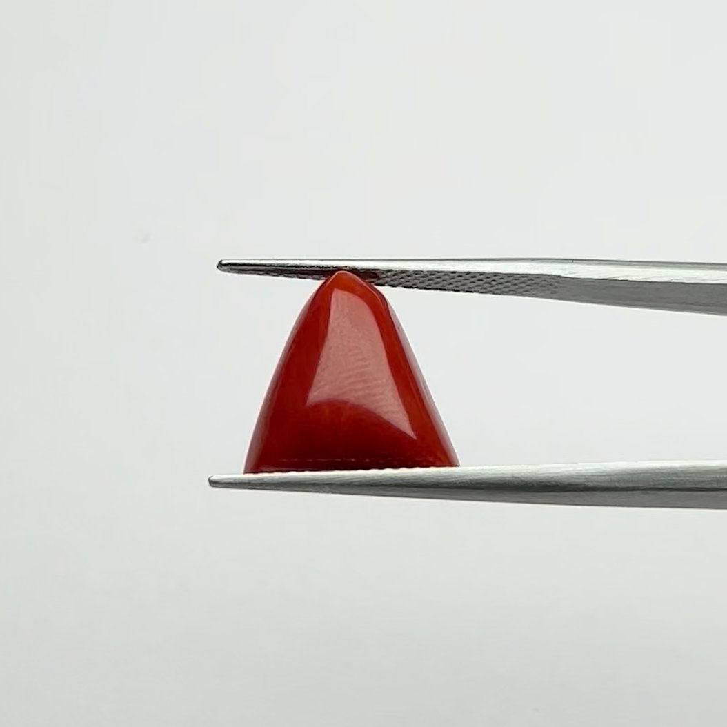 Certified Natural Energized Red Coral Gemstone 6.50 Ratti for Mars Energized Passion, Courage, and Vitality