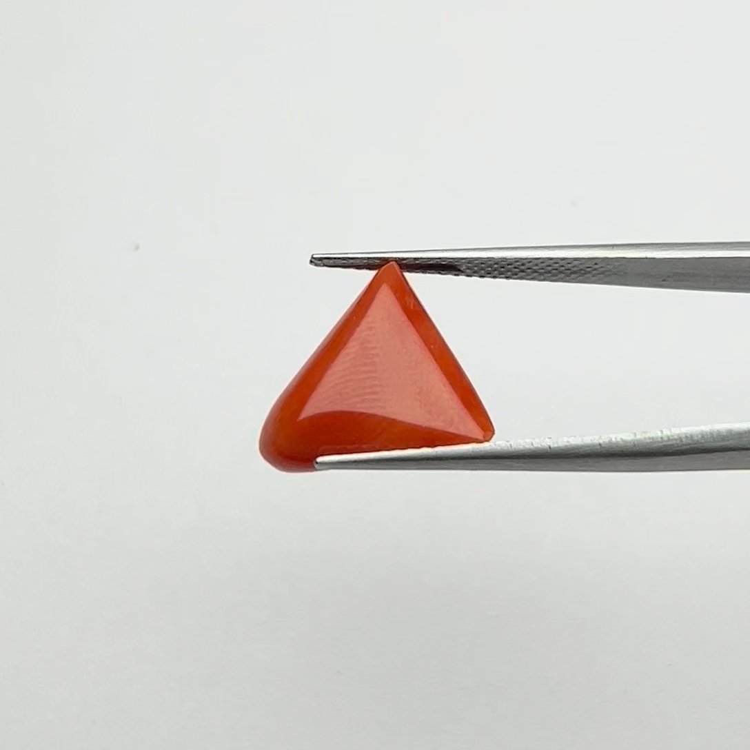 Authentic Vibrant Red Coral Gemstone 6.50 Ratti Certified Crystal for Mars Energized Protection and Courage