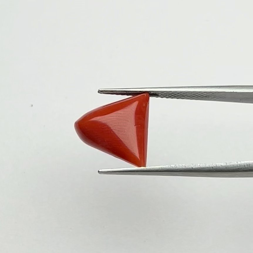 Certified Natural Energized Red Coral Gemstone 6.00 Ratti for Mars Strength, Courage and Good Karma