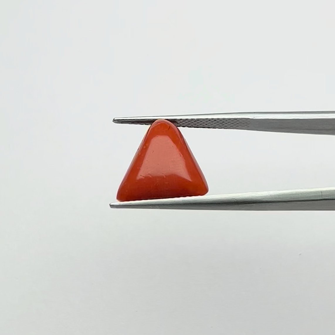 Authentic Hand-Picked Natural Red Coral Gemstone 8.25 Ratti, Energized for Mars Energies, Passion, and Courage