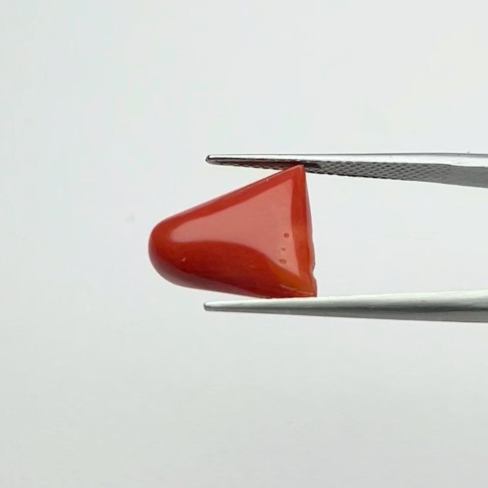 Certified Natural Energized Red Coral Gemstone 8.00 Ratti for Mars Courage and Passion Energies Empowerment