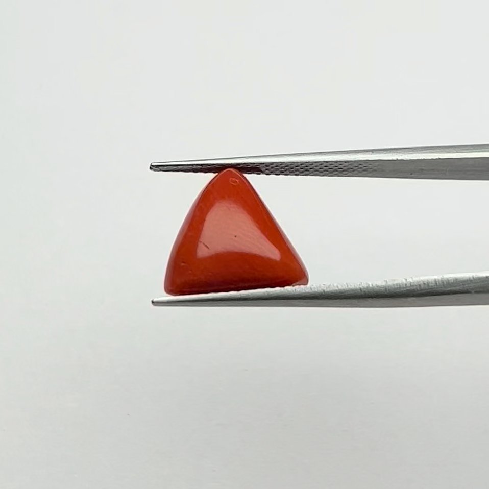 Authentic Certified Natural Energized Red Coral Gemstone 7.50 Ratti, Brings Courage, Confidence and Mars Planet Protection