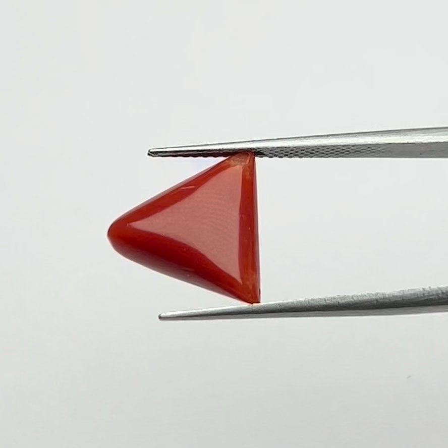 Certified Natural Energized Red Coral Gemstone 7.00 Ratti for Mars Energies, Passion, and Courage Blessings