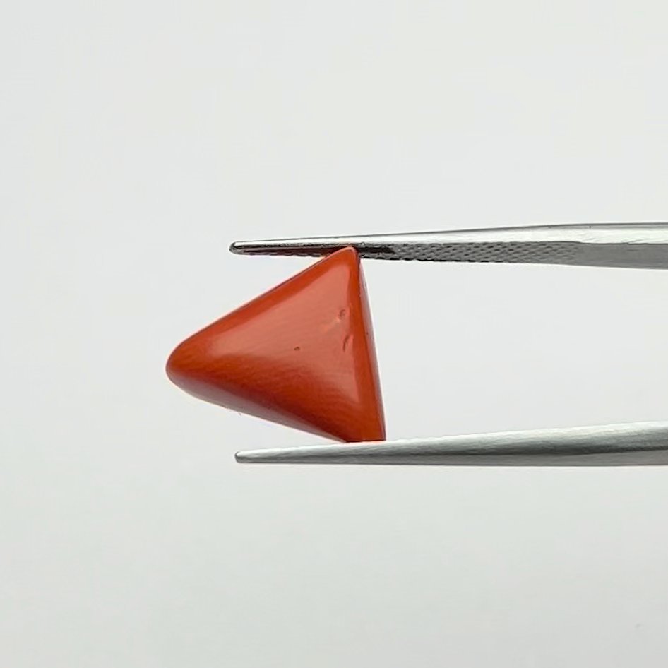 Certified Natural Energized Red Coral Gemstone 6.50 Ratti for Mars Energy, Courage, and Confidence Boosting