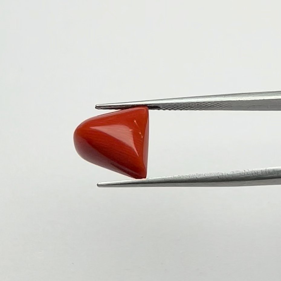 Certified Natural Energized Red Coral Gemstone 7.25 Ratti for Mars Energy, Courage, and Confidence