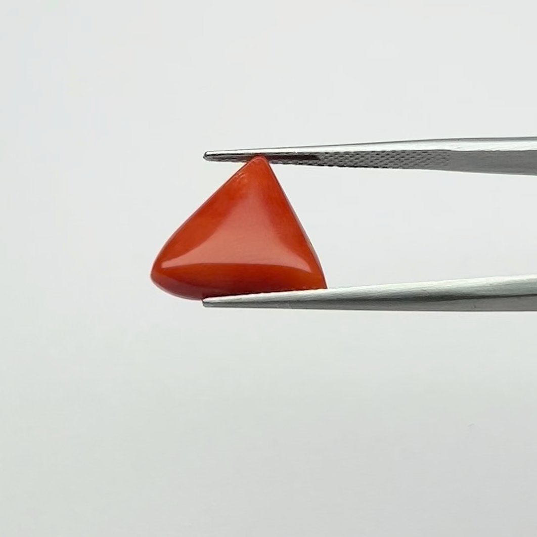 Certified Natural Energized Red Coral Gemstone 6.50 Ratti for Mars Energized Protection, Courage and Confidence